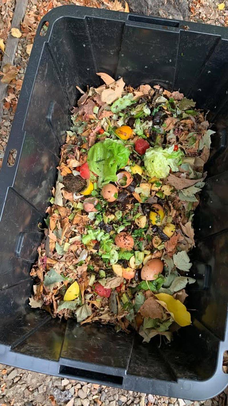 Compost Bins In Visible Areas