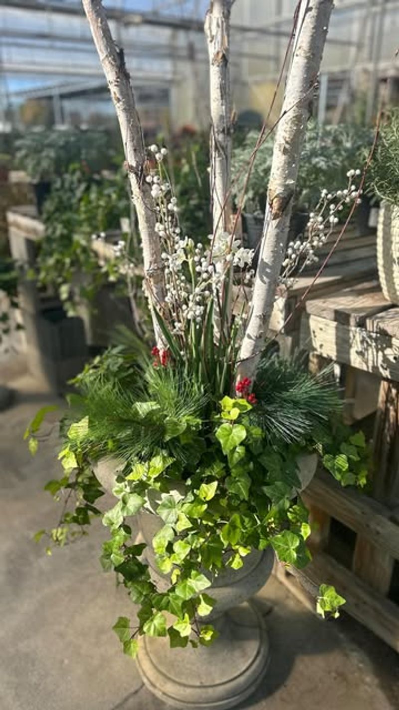 Birch Log Mini Gardens