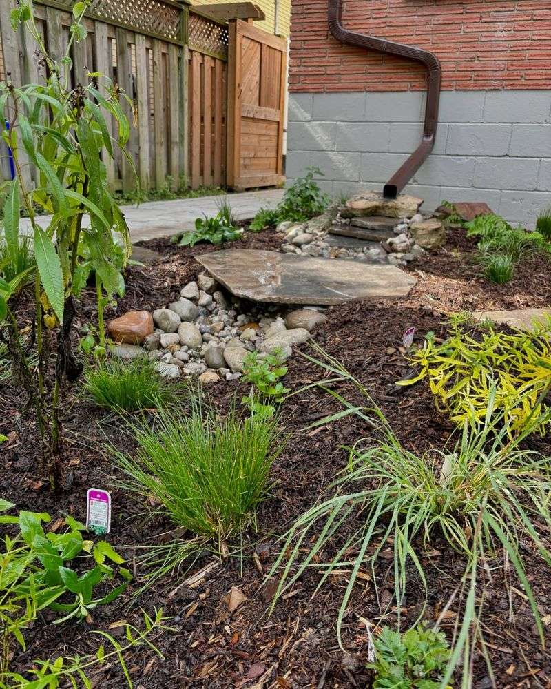 Rain Garden Bioswales