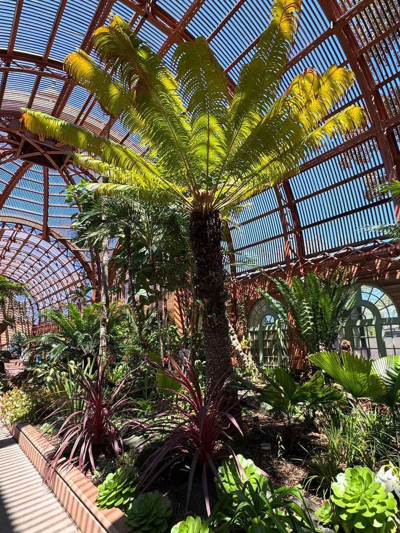 New Zealand Garden: Island Evolution Showcase