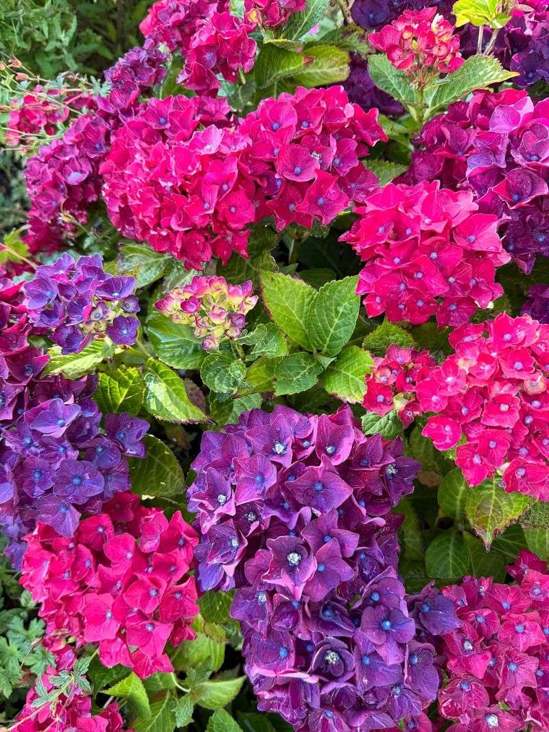 Mulch Matters More Than You'd Guess