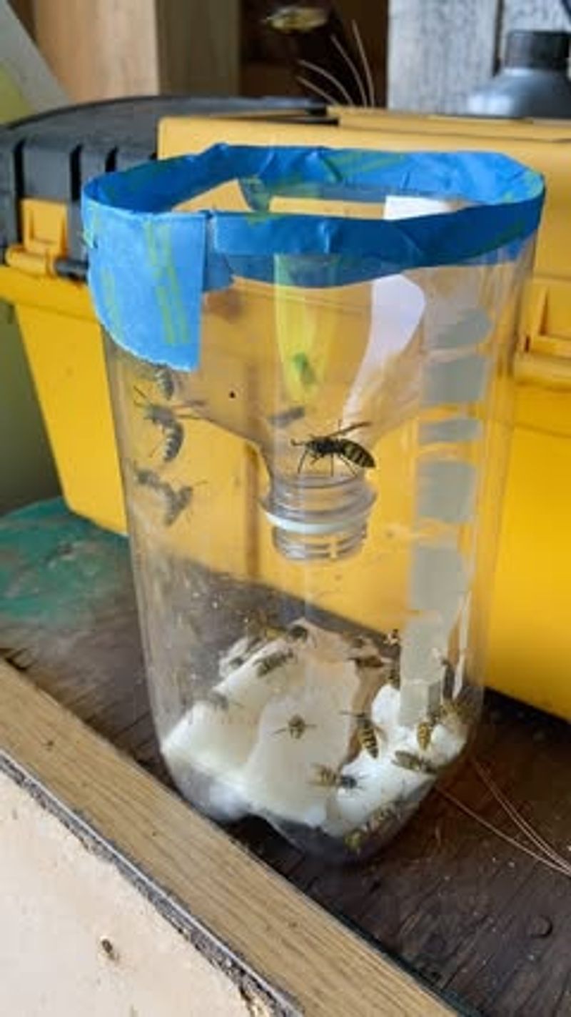 Meat Bait Water Trap