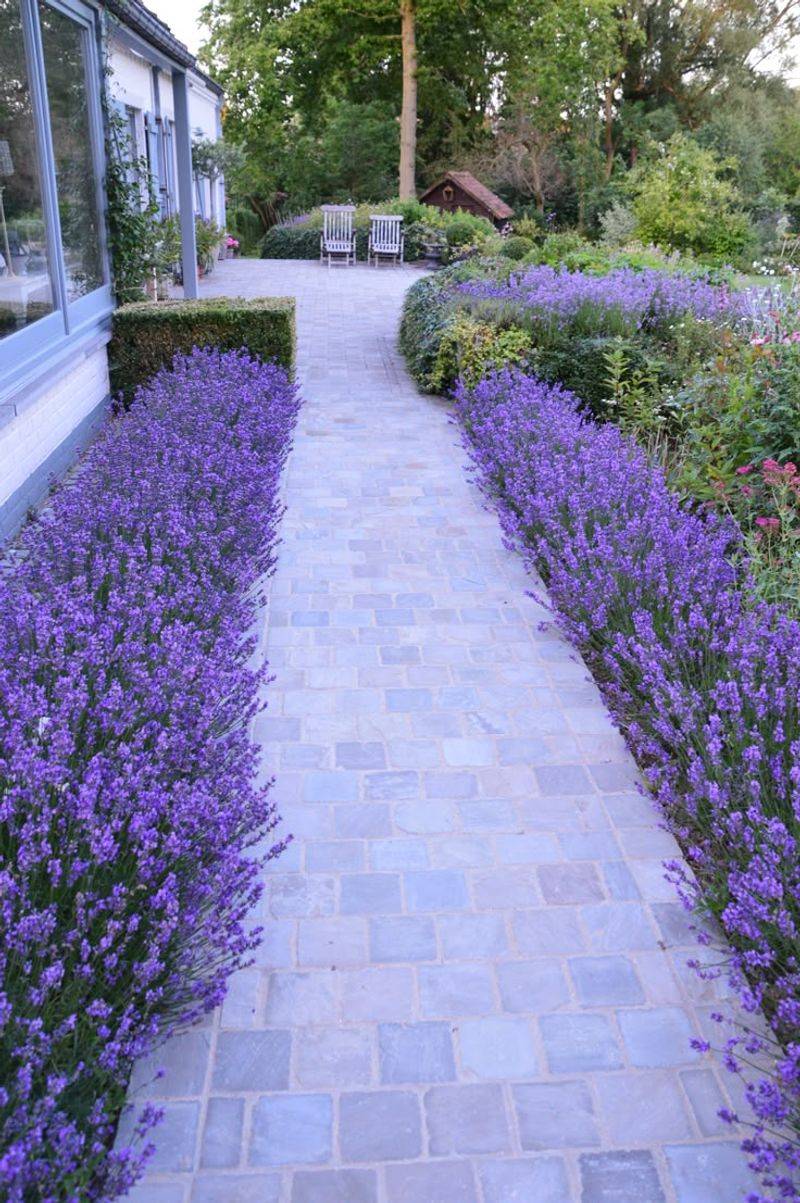 Driveway-to-Door Pathways