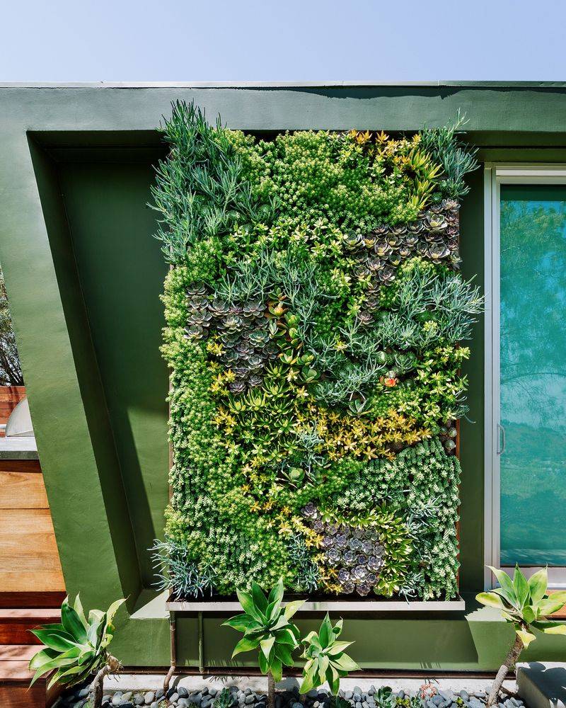 Vertical Succulent Wall