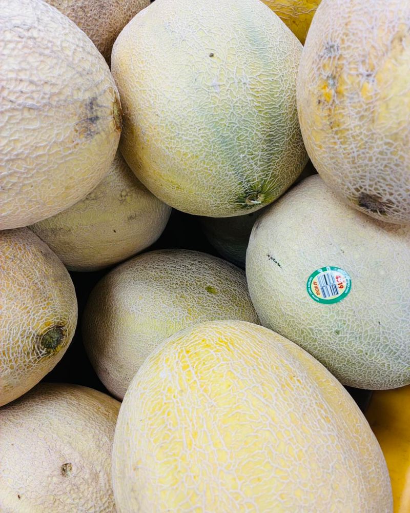 Cantaloupe