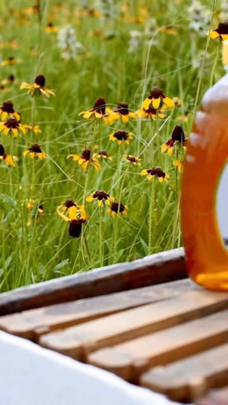 Wildflower Honey