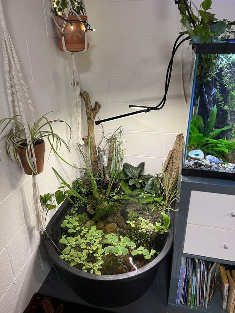 Indoor Fountain Features