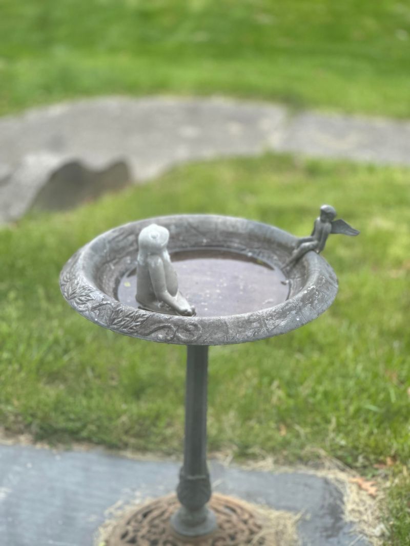 Concrete Shell Birdbath With Bee Balm