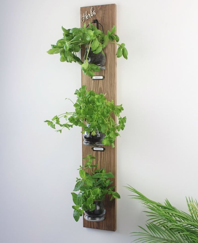 Floating Glass Bubble Planters