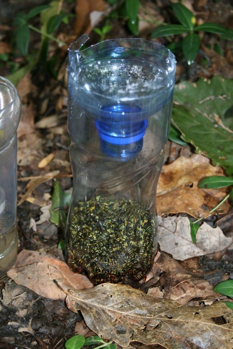 Two-Liter Bottle Ground Trap