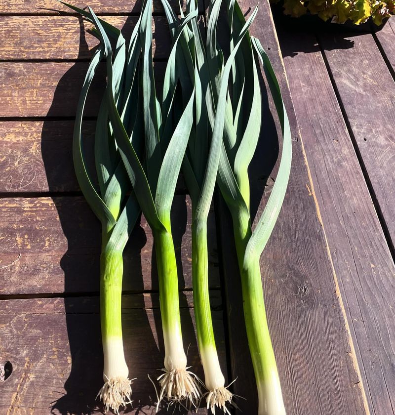 Leeks