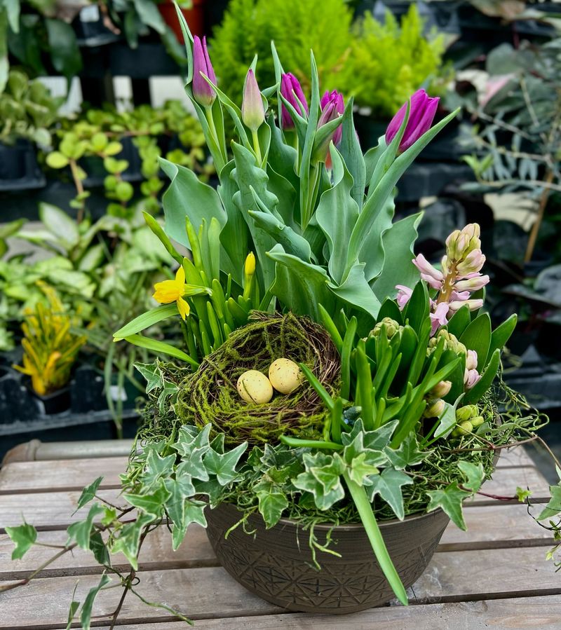 Container Bulb Garden
