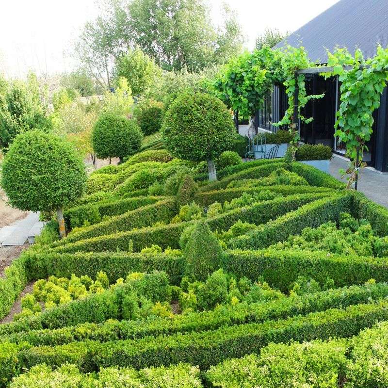 Showcase For Native Plants