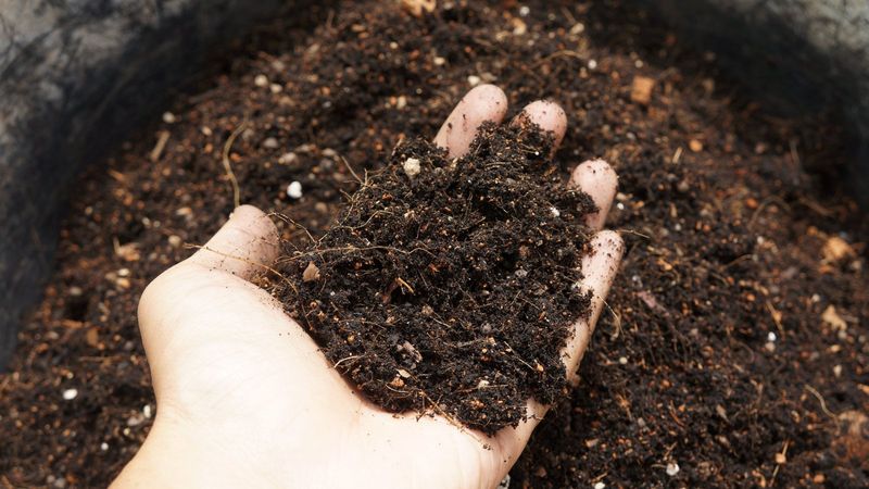 Combats Soil Compaction In Container Herbs