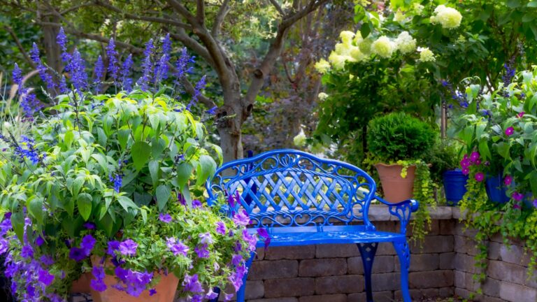 plants in containers next to a blue bench