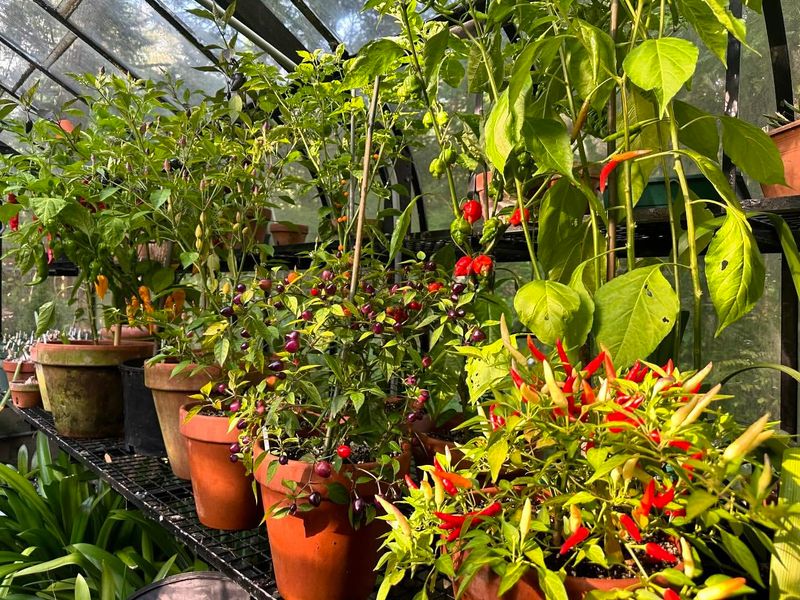 Use The Right Containers