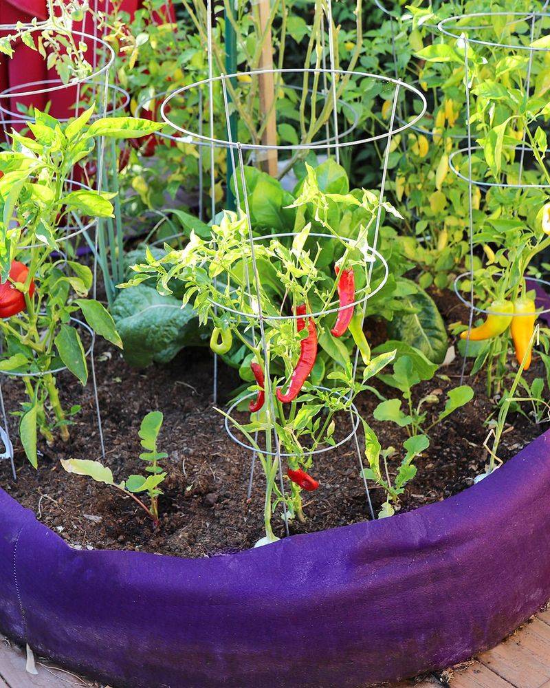 Implement Smart Fertilizing
