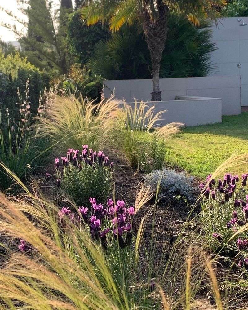 Companion Planting Strategies