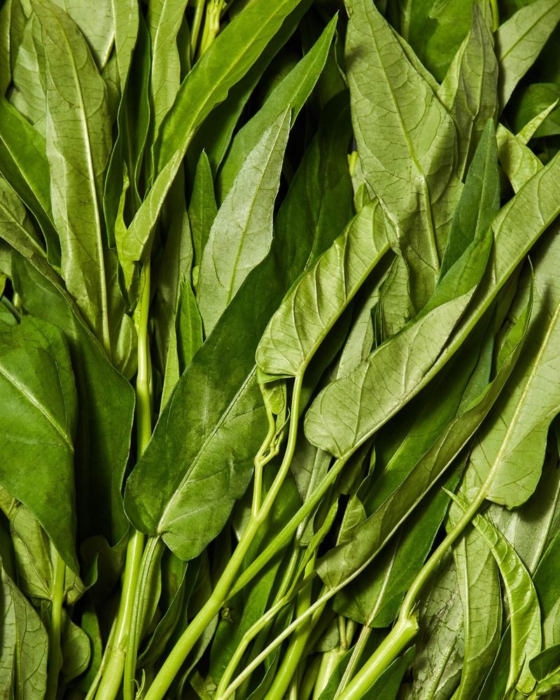 Water Spinach