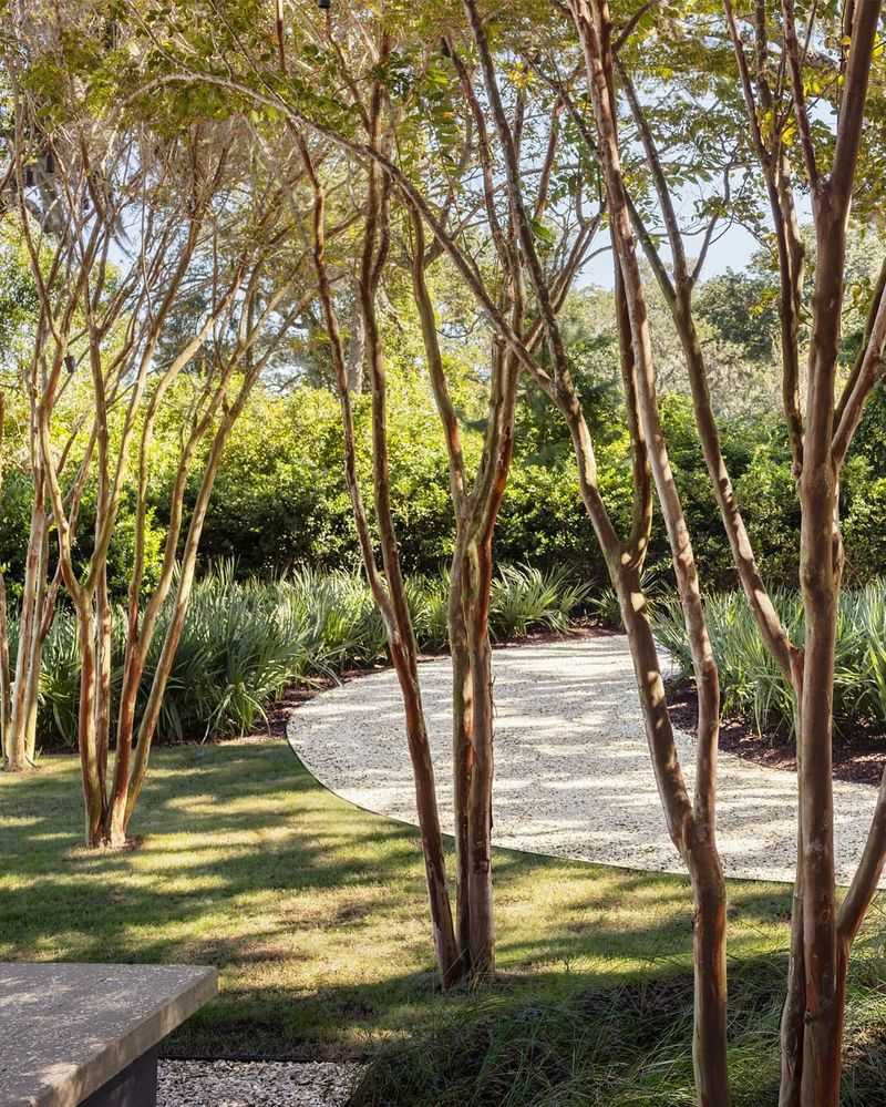 Plant Native Trees As Anchors