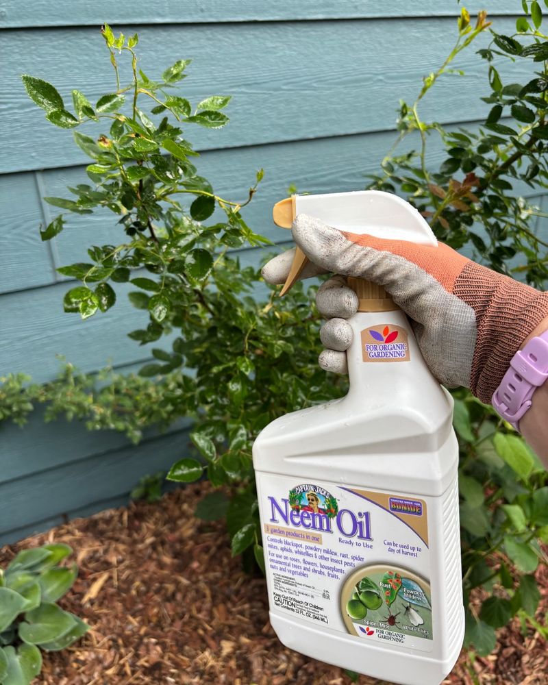 Neem Oil: Multi-Purpose Garden Savior