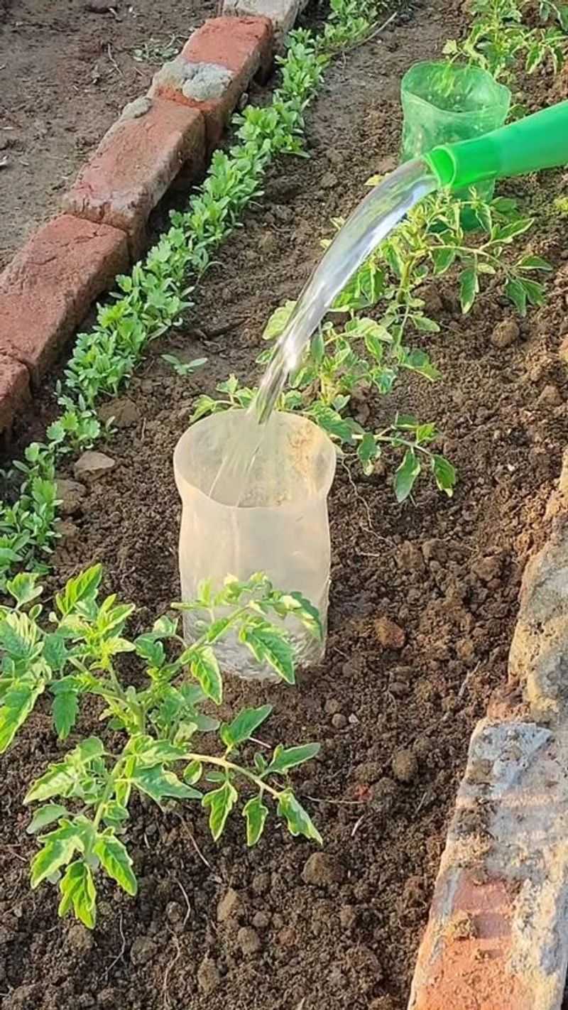 DIY Drip Irrigation