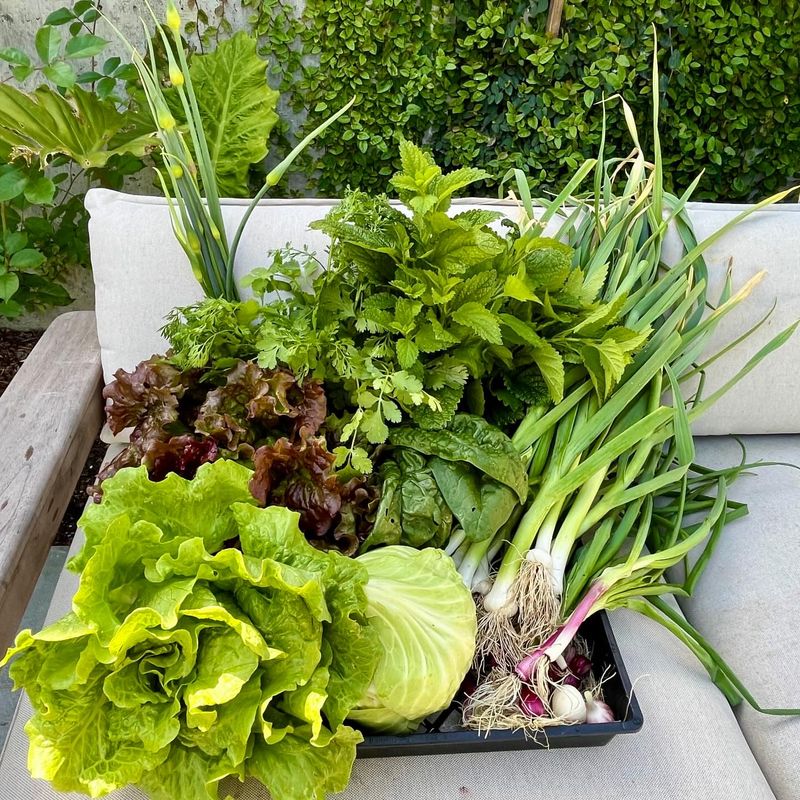 Focus On High-Value Crops