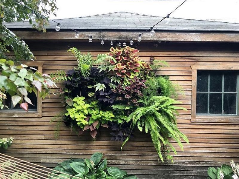 Living Wall Tapestries