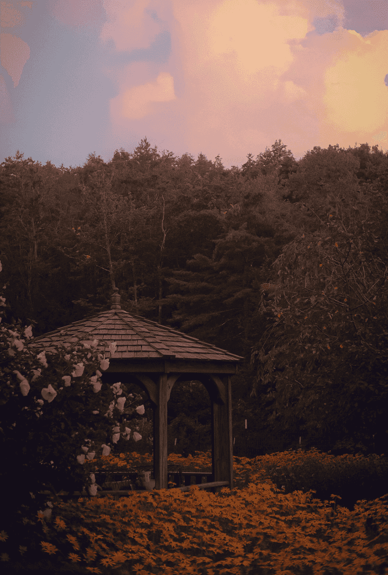 Sunset Gratitude Walk