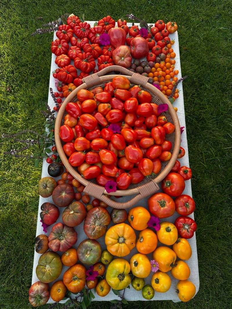 Harvest And Preserve Summer Bounty