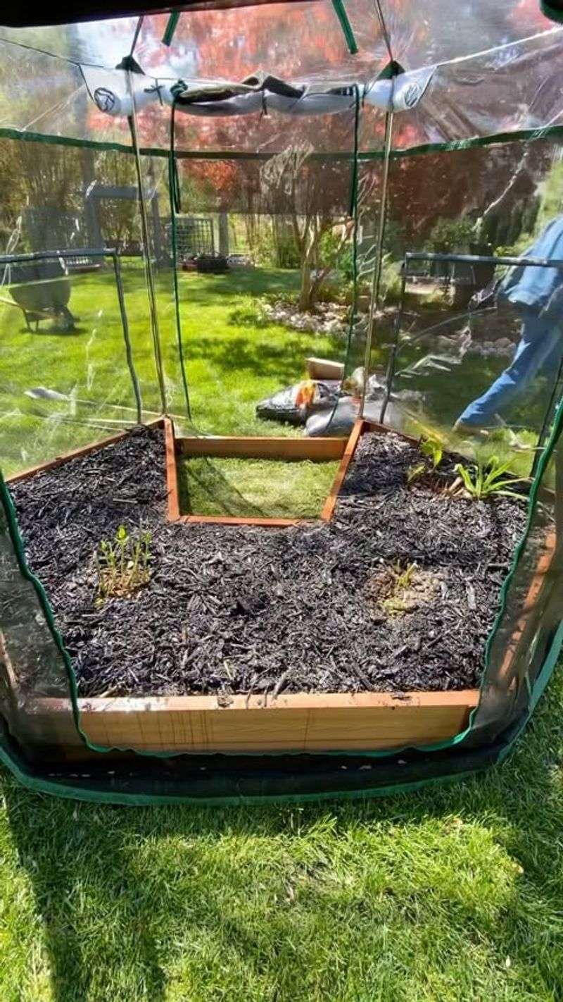 Heat-Retaining Mulch Systems