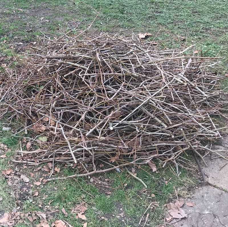 Create Brush Piles In Quiet Corners