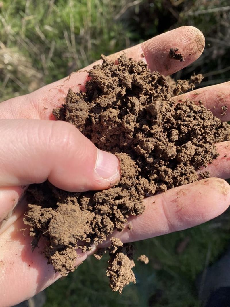 Soil Sifter Solution