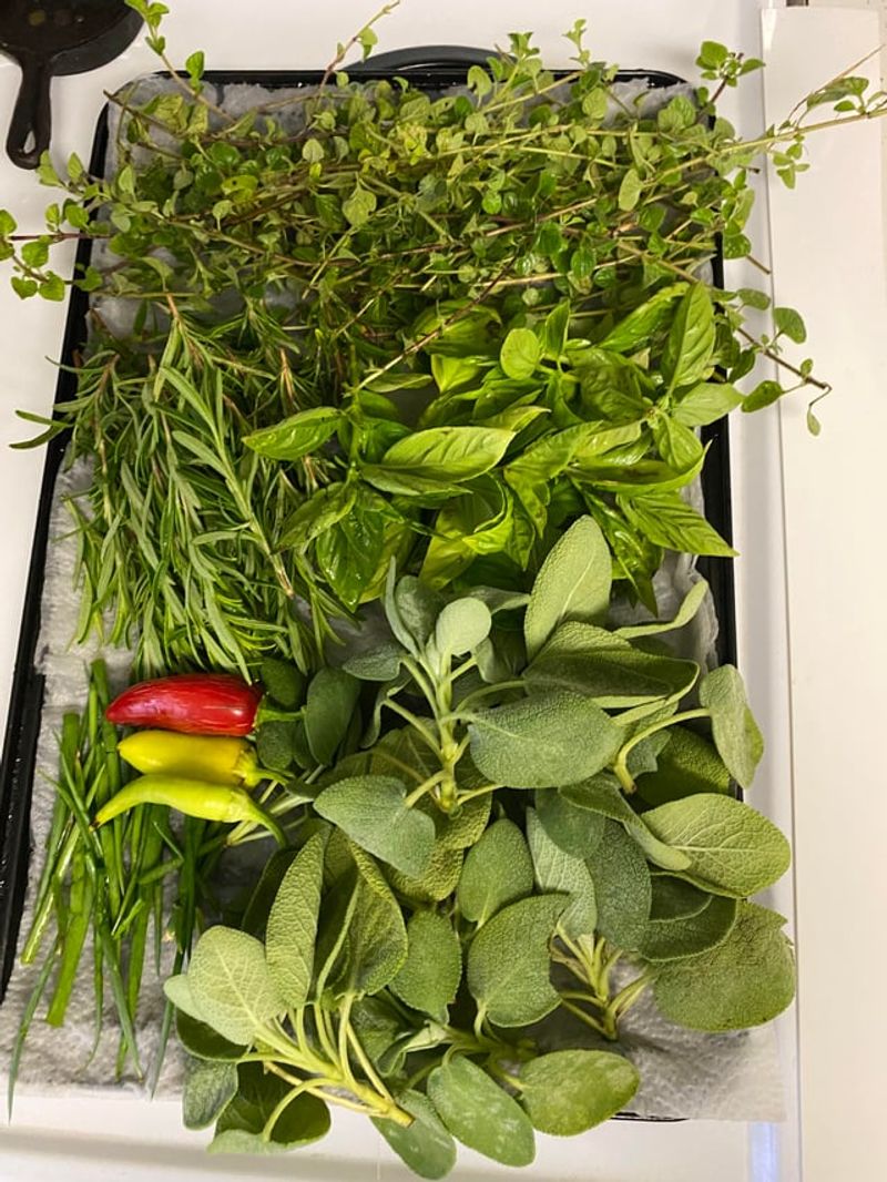 Harvest Herbs
