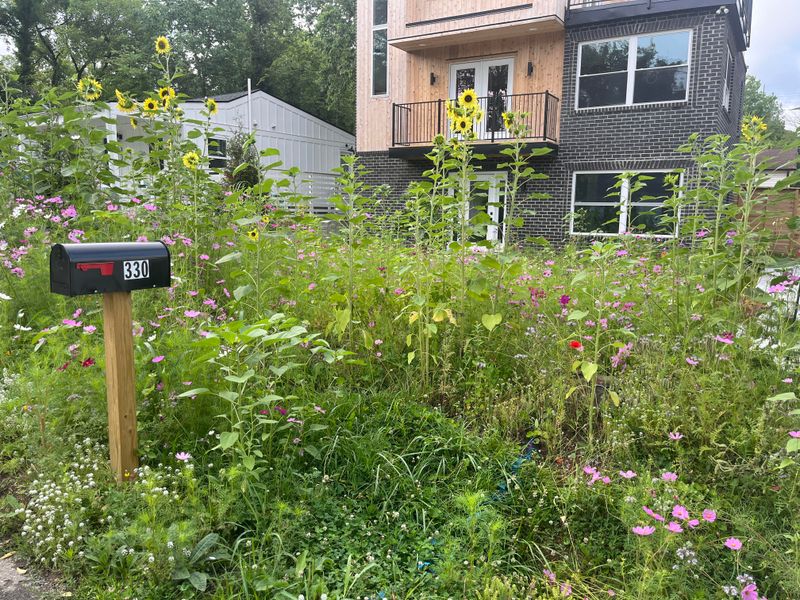 Add Structure With Native Grasses