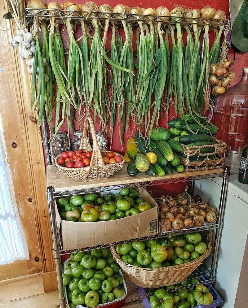 Harvest And Store Garden Produce
