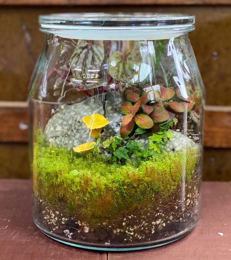 Add Decorative Elements