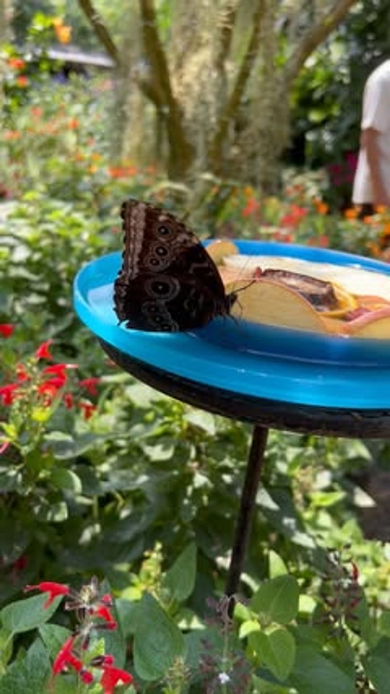 Offer Water Features