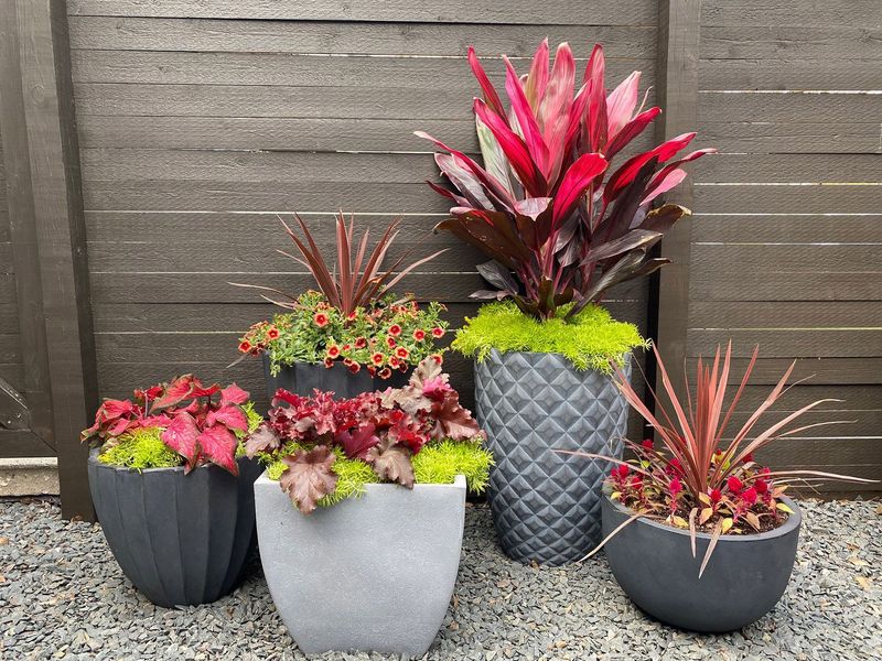 Mismatched Planting Containers
