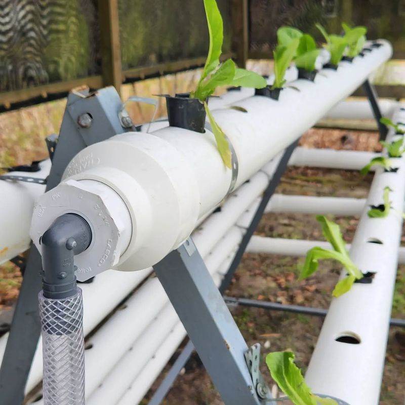 PVC Pipe Vertical Gardens for Modern Spaces