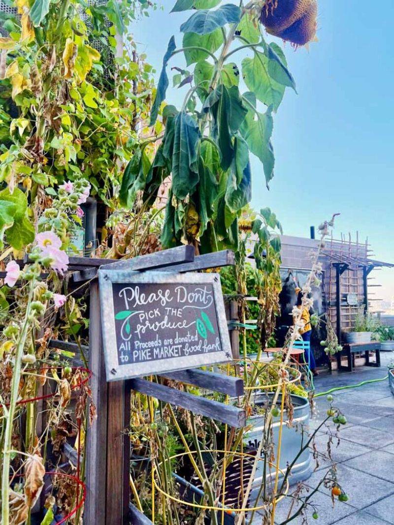 Native Plants That Tell Seattle's Story