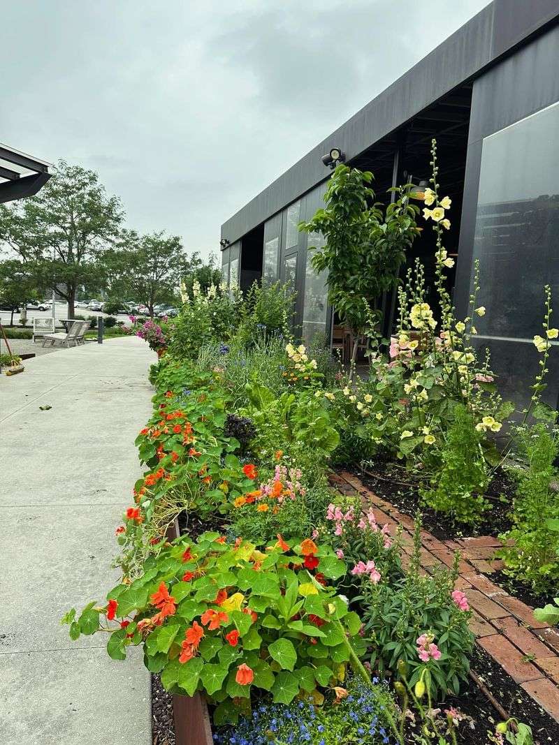 Rain Garden Integration