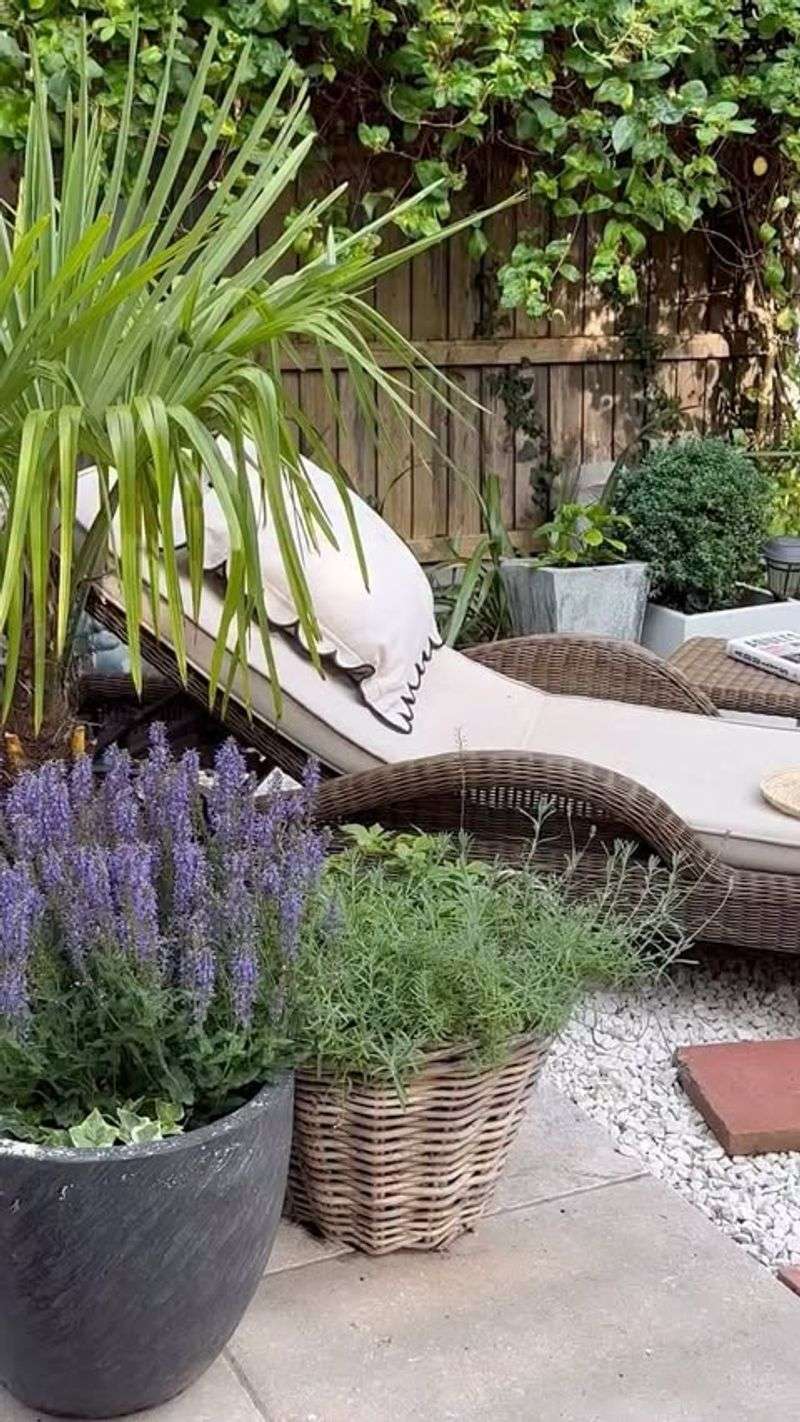 Patio Dividers