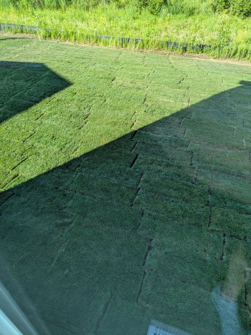 Choosing The Wrong Grass Type