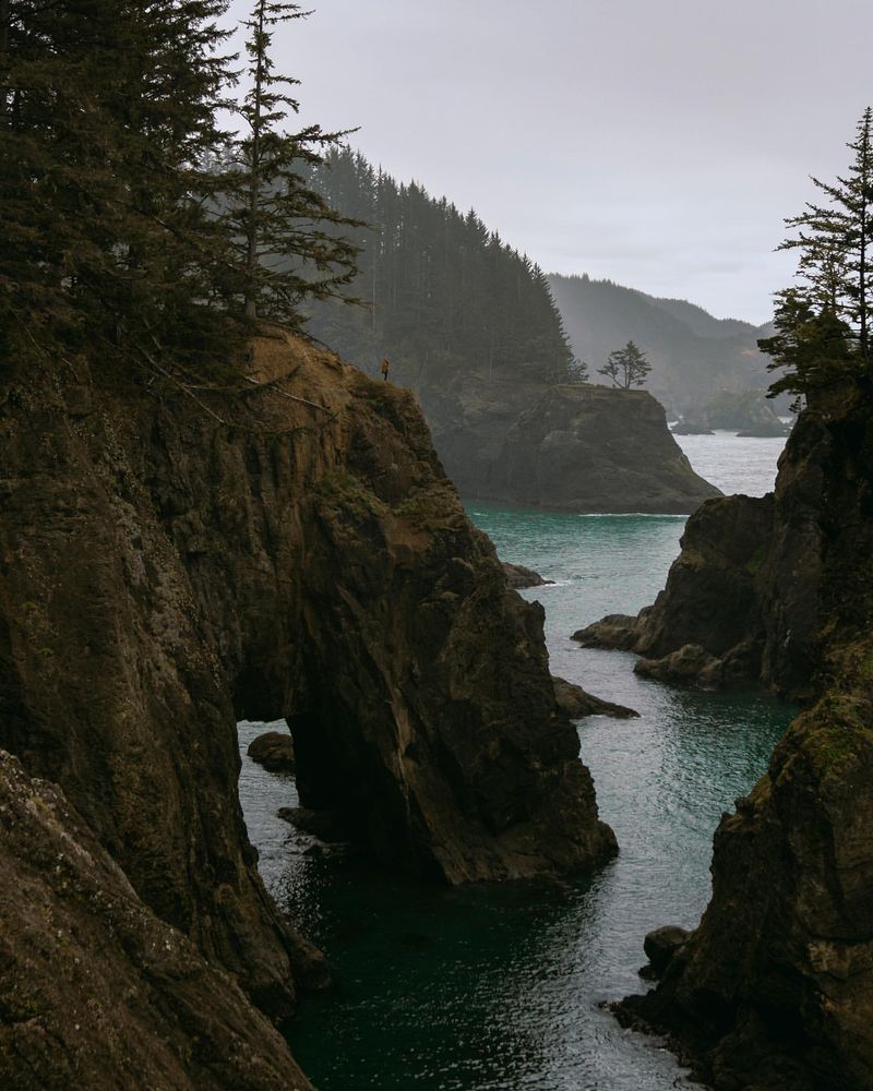 Gold Beach's River And Redwood Harmony