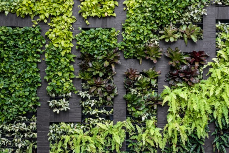 vertical green wall (featured image)