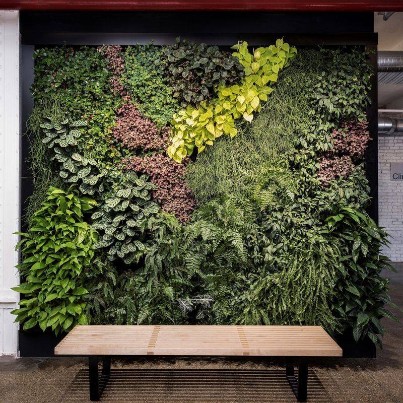 Choose Climate-Appropriate Plants