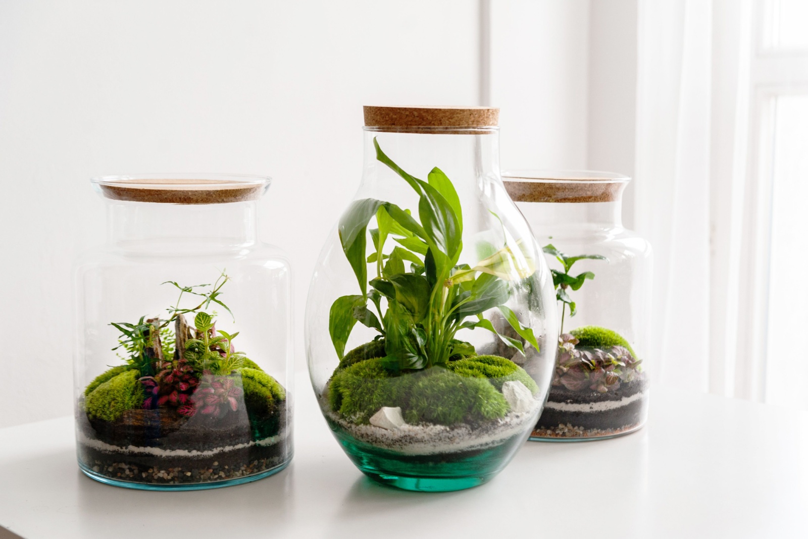 Portland Urban Gardeners Could Use Vertical Glass Terrarium Walls For Small Spaces
