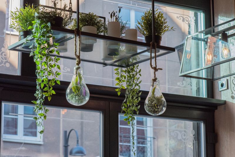 Floating Glass Shelf Arrangement