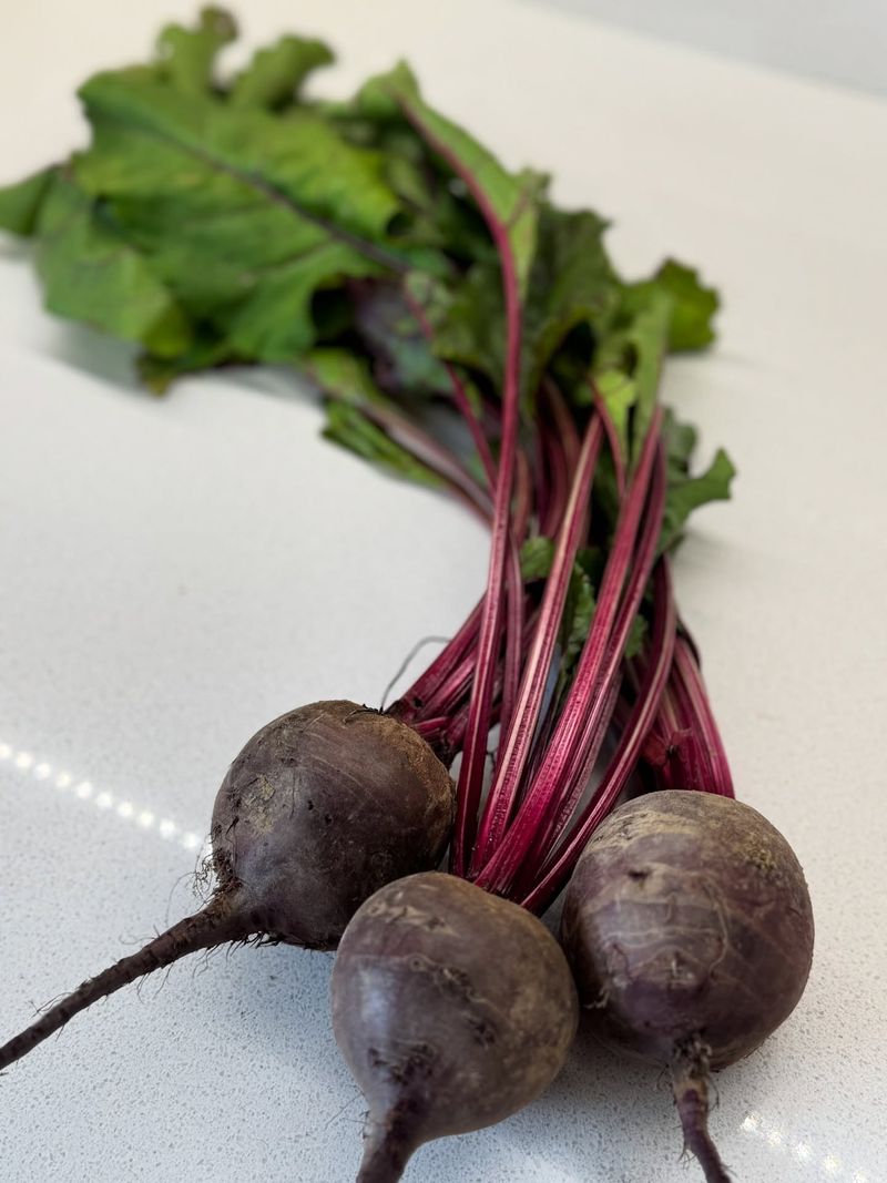 Beets: Ruby Red Survivors